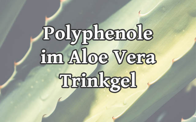 Polyphenole im Aloe Vera Trinkgel