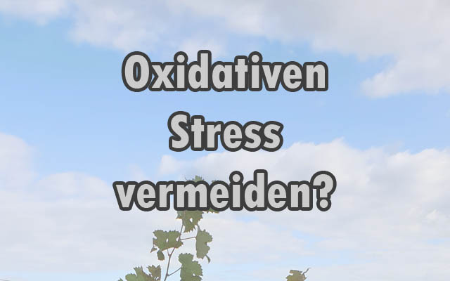 Oxidativer Stress vermeiden